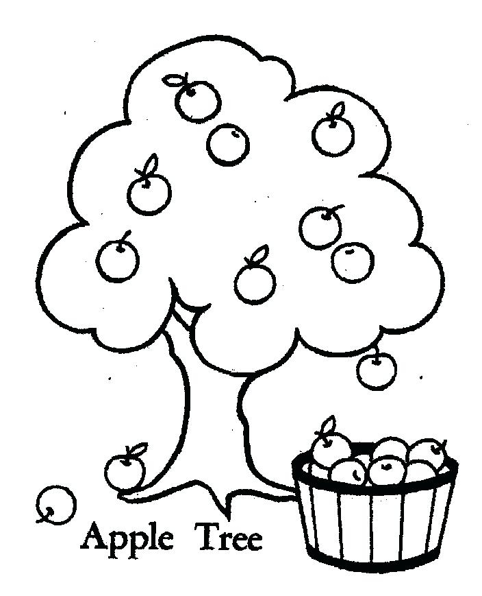 704x869 Apple Tree Coloring Page Educational Coloring Pages