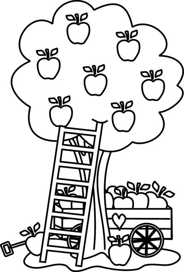 600x887 Stylish Design Ideas Apple Tree Coloring Page Pages Barriee