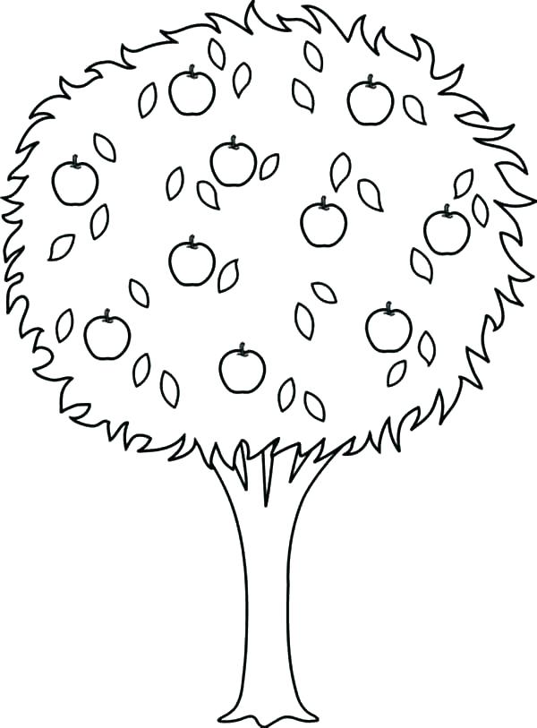 600x813 Apple Printable Coloring Pages S S Free Apple Printable Coloring