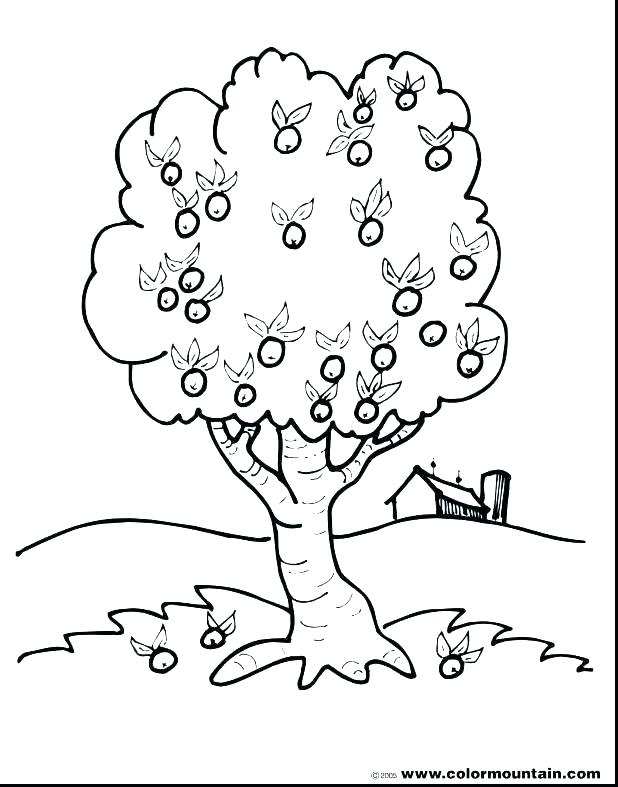 Apple Printable Coloring Pages at GetDrawings | Free download