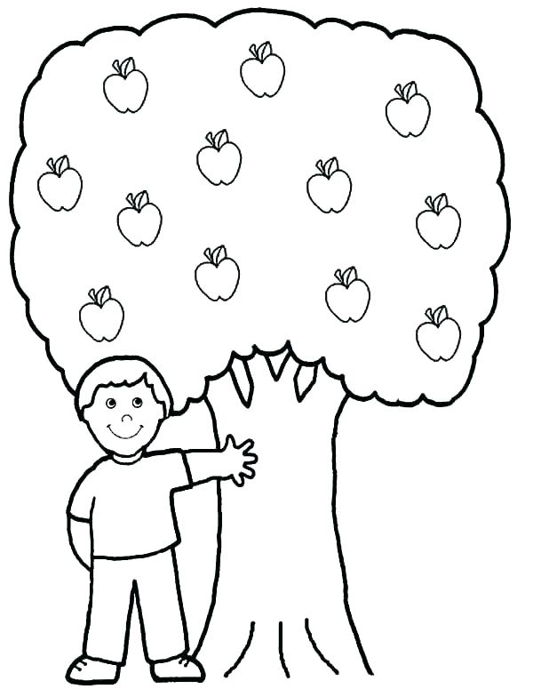 600x775 Apple Tree Coloring Page Apple Tree Coloring Sheets Printable