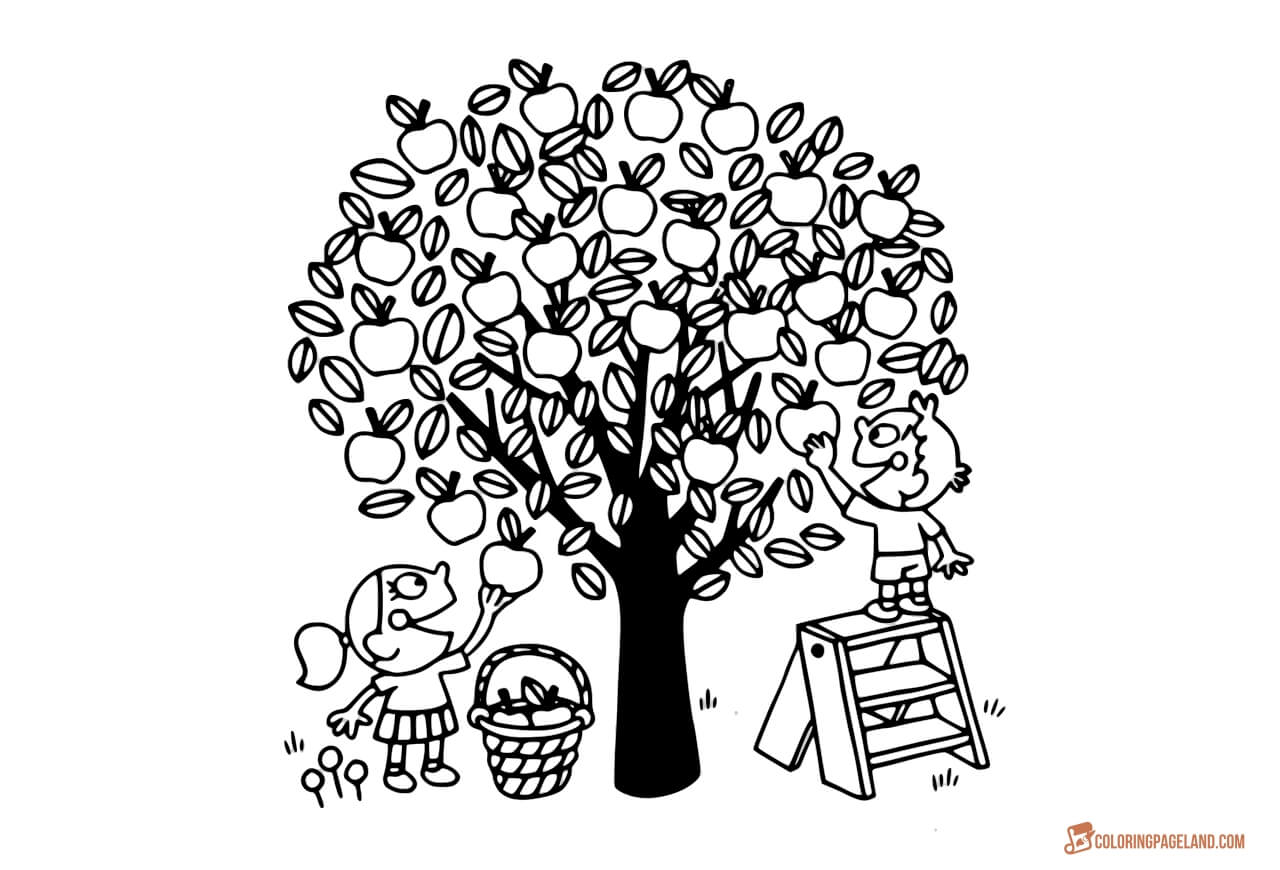 1280x870 Apple Tree Coloring Pages
