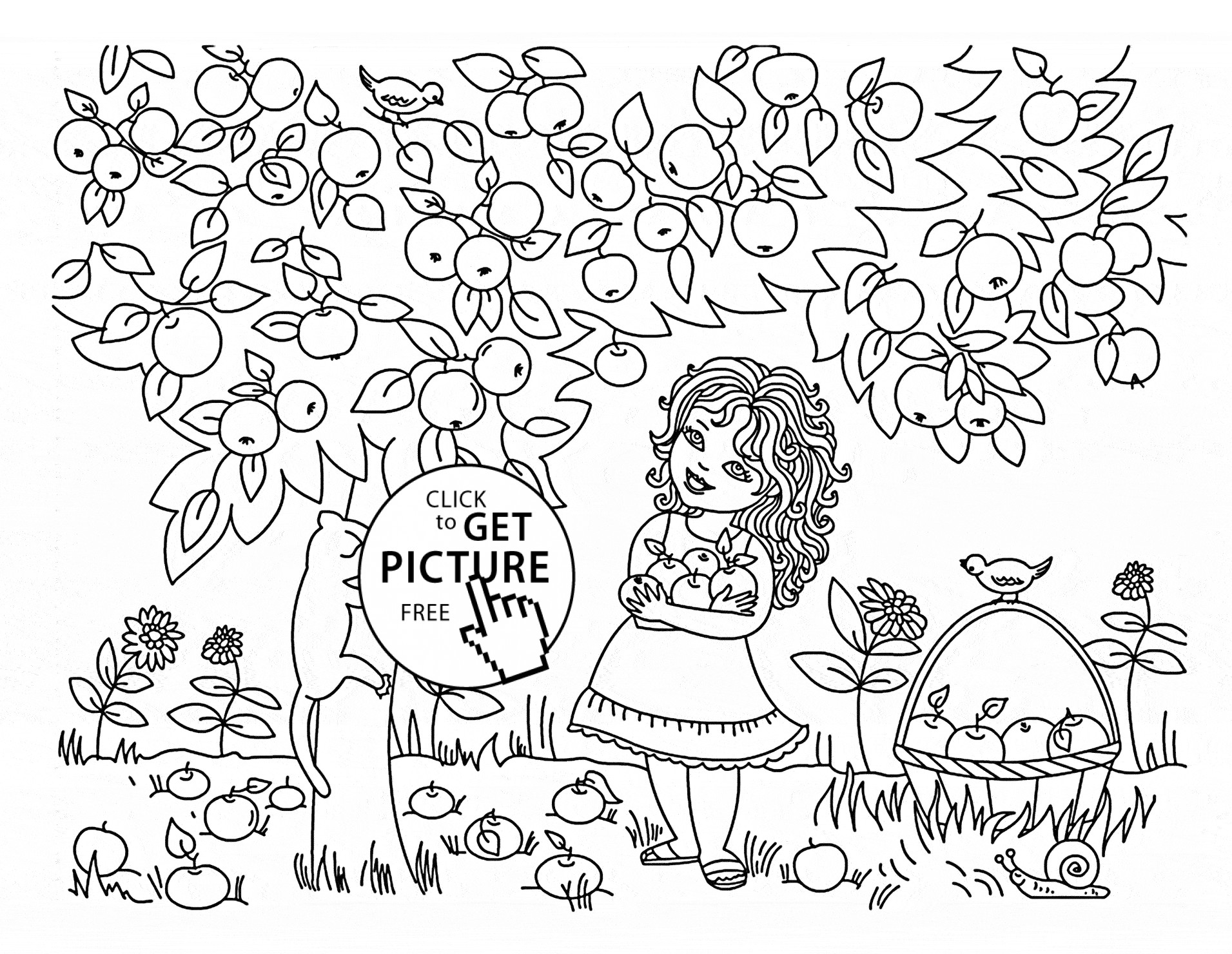 1911x1480 Coloring Pages Apple Trees Best Of Coloring Pages Apple Trees New