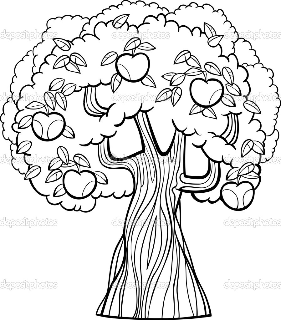 898x1023 Scarce Fruit Tree Coloring Page Apple Capricus Me