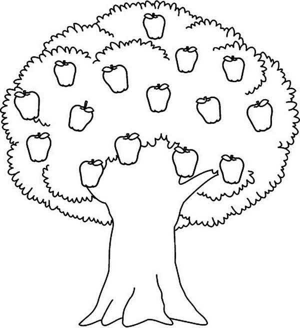 600x655 Tree Color Page Pictures Of Apple Tree Coloring Page Slp