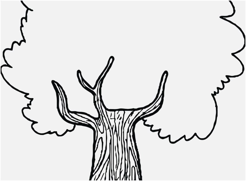 827x609 Tree Coloring Pages Photographs New Great Apple Tree Color Page