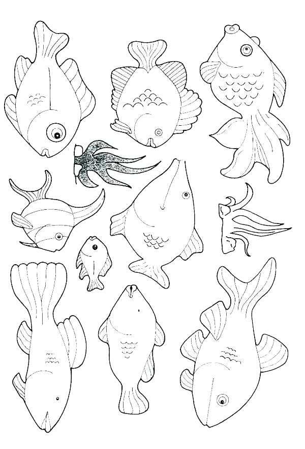 600x882 Aquarium Coloring Page Wonderful Empty Aquarium Coloring Pages