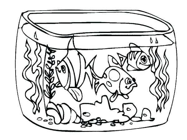 600x450 Aquarium Coloring Pages Plus Aquarium Coloring Pages Coloring