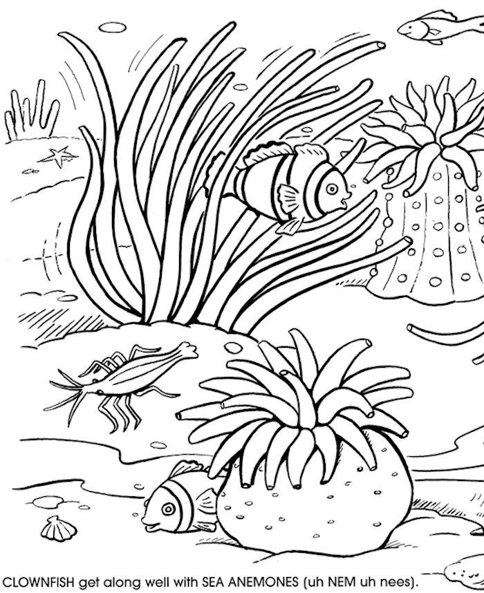 700x858 Dover Aquarium Fun Kit Coloring Page Kids All Ages Color