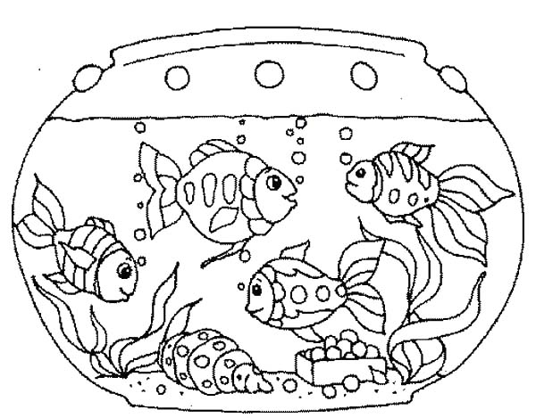 600x469 Fish Tank Coloring Page