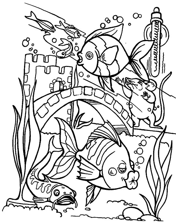 600x760 Tropical Fish Kissing Aquarium Glass Wall Coloring Pages Tropical
