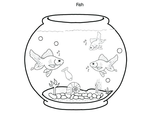 600x450 Aquarium Coloring Pages Tropical Fish Tank Coloring Page Aquarium