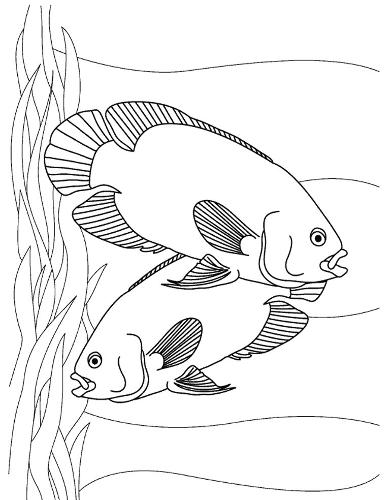 768x984 Aquarium Fish Oscars Printable Kids Coloring Sheet