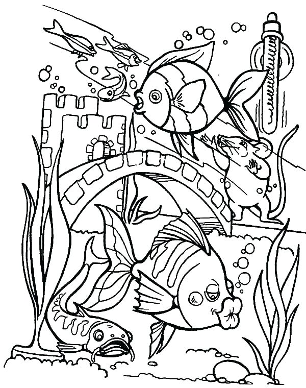 600x760 Baltimore Aquarium Coloring Pages Printable Coloring Image