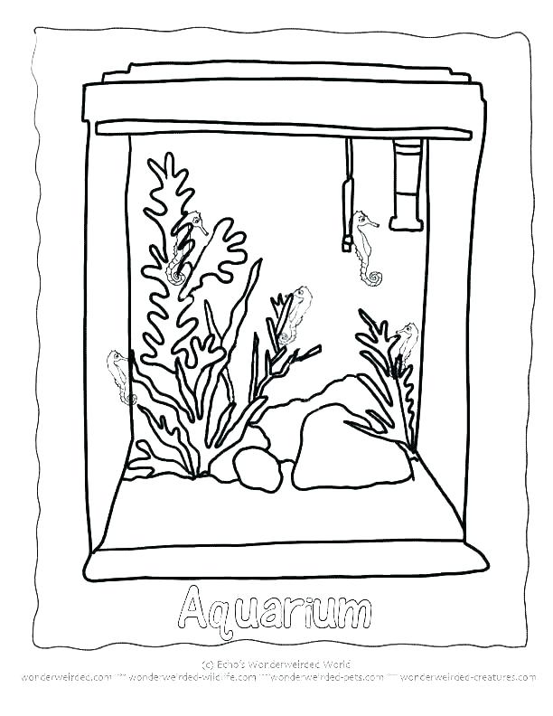 612x792 I Love The Aquarium Coloring Page Twisty Noodle Fish With Bubbles