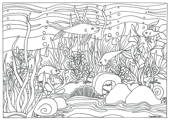 570x411 Printable Fish Aquarium Scene Coloring