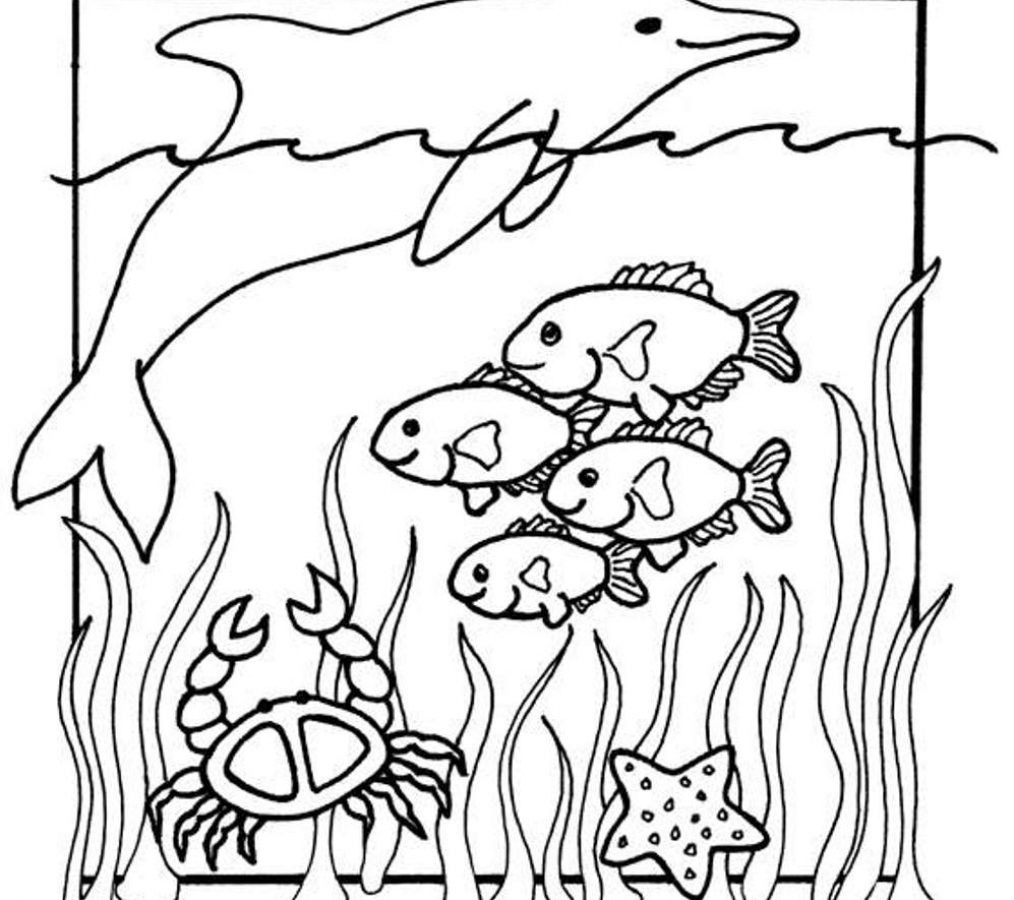 1014x900 Sea Animal Coloring Pages Printable Free D Aquarium Page Kids