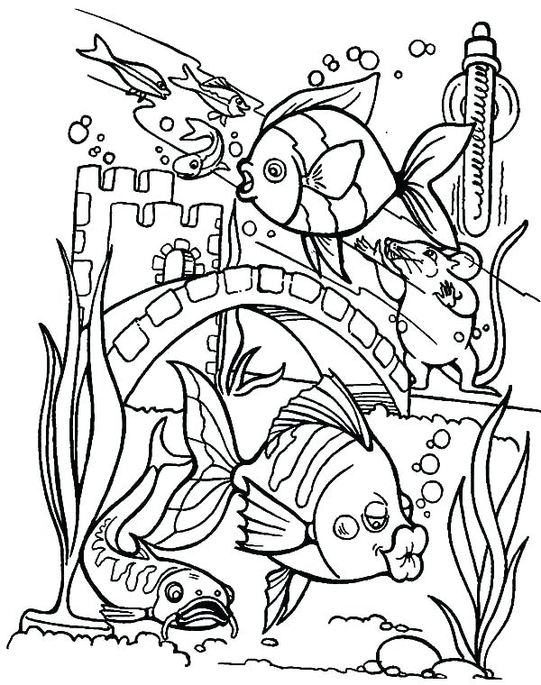 600x760 Fish Coloring Pages For Adults This Is Tropical Images Aquarium