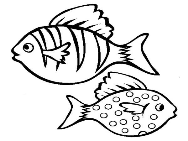 600x450 Realistic Aquarium Fish Coloring Page