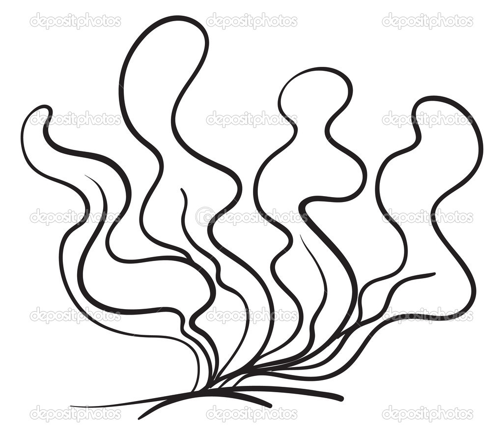 1024x885 Coloring Pages Ocean Plants Coloring Pages