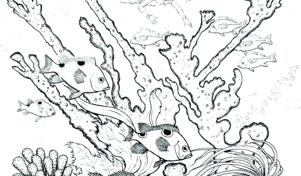1024x600 Underwater Coloring Page Underwater Coloring Pages Underwater