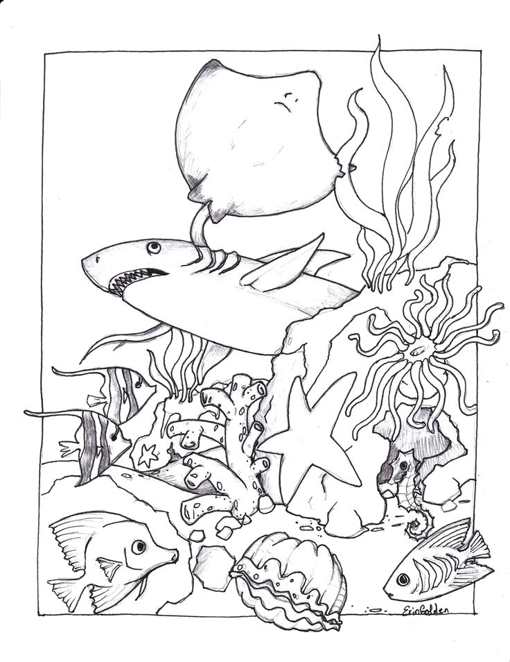 736x954 Coloring Underwater Coloring Pages Ocean Page Adult Animals