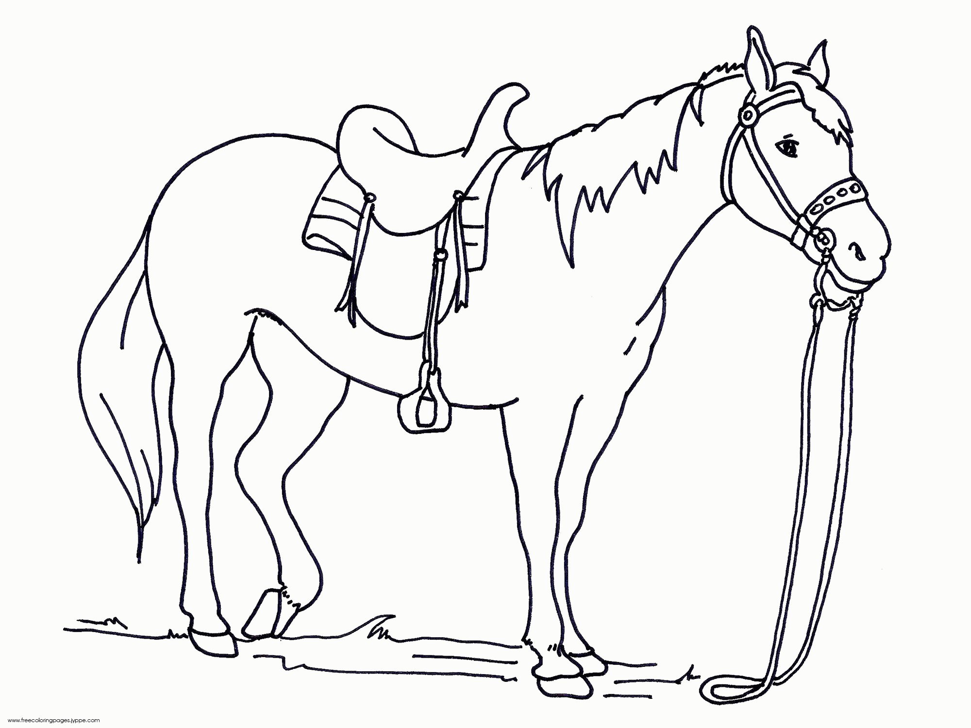 2000x1500 Coloring Pages Of Real Horses Fresh Running Arabian Horse Page