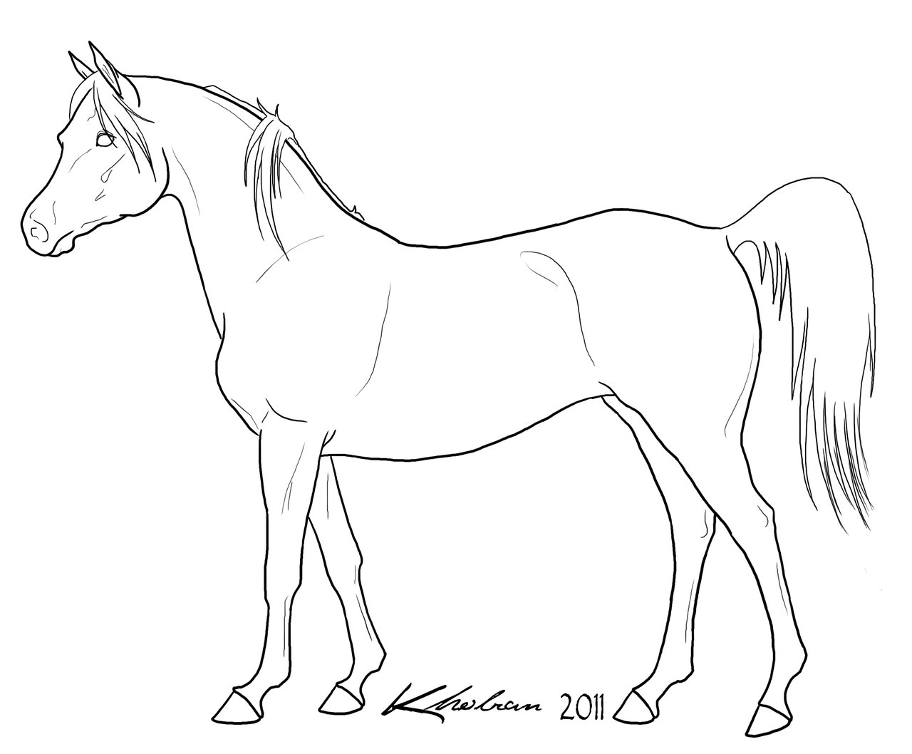 1280x1058 Download Arabian Horse Coloring Pages Brilliant