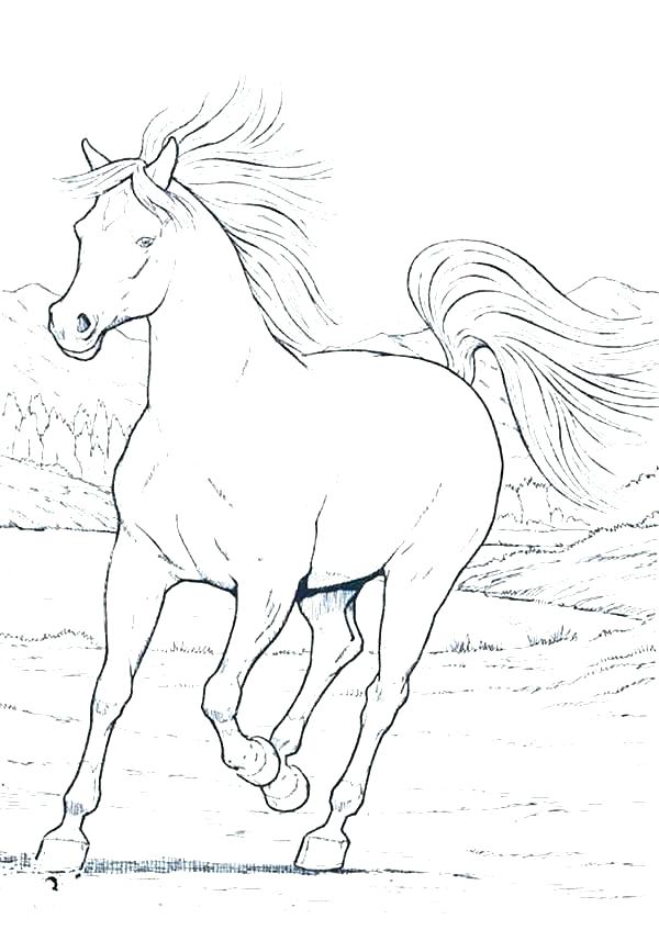 600x847 Realistic Horse Coloring Pages Horse Coloring Page Realistic Horse
