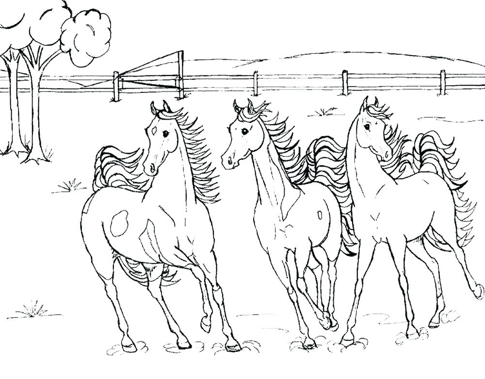 1000x783 Realistic Horse Coloring Pages Horse Jumping Coloring Pages