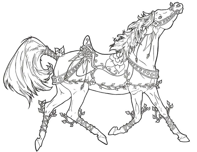 800x620 Running Arabian Horse Coloring Page Horse Coloring Pages
