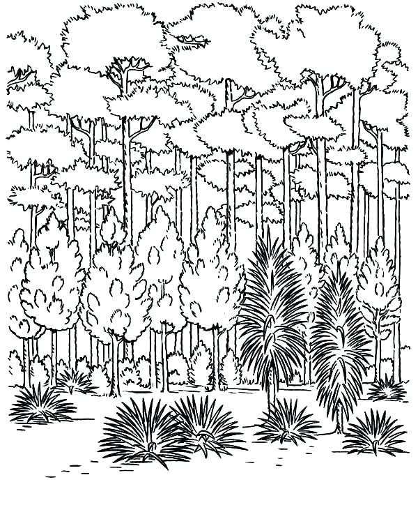 600x734 Snowy Day Coloring Page And Friends In A Snowy Day Coloring Page