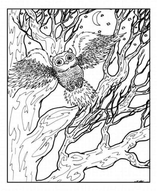 525x640 Best Coloring Pages Images On Coloring Pages