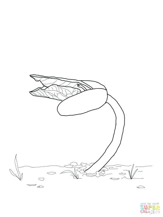 618x824 Tv Coloring Pages Kipper Coloring Pages Net The Dog Sheets