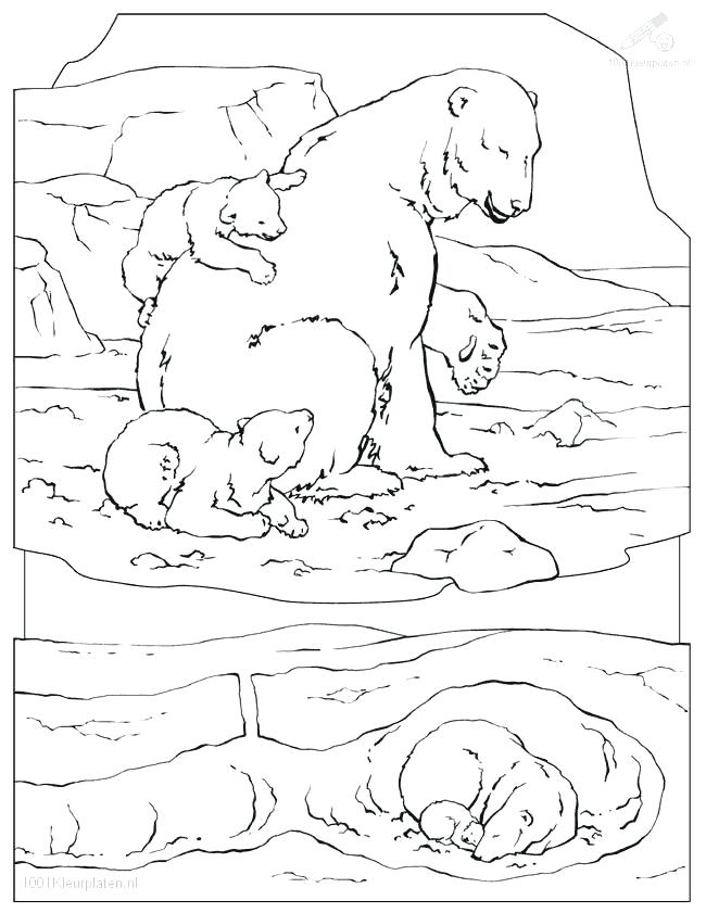 650x841 Arctic Animals Coloring Pages Polar Bear Coloring Page Arctic