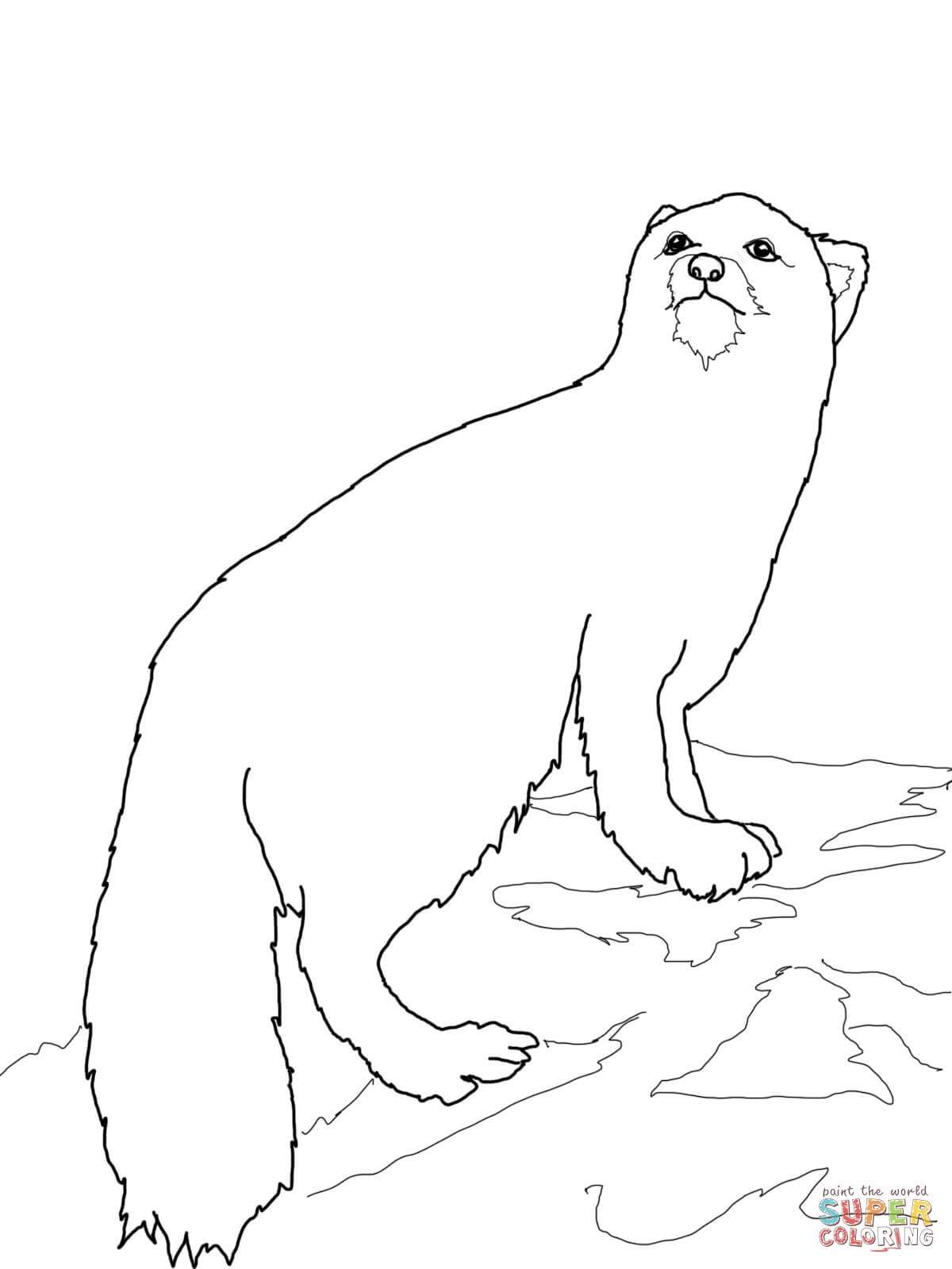 1200x1600 Arctic Fox Coloring Page To Print
