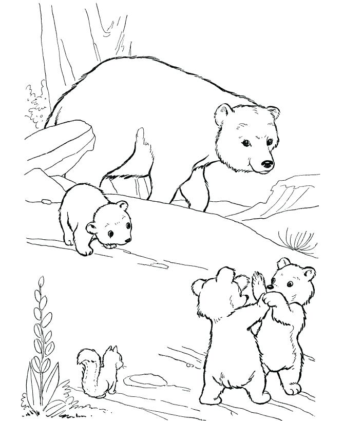 670x820 Animal Jam Arctic Fox Coloring Pages