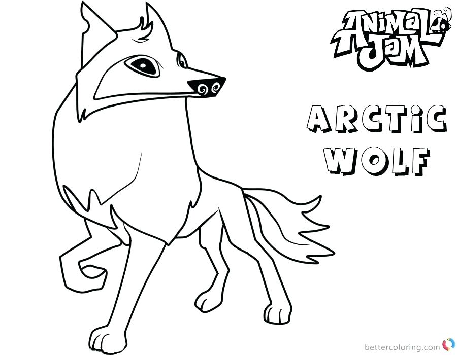 900x700 Arctic Coloring Pages Animal Jam Coloring Pages Arctic Wolf Animal