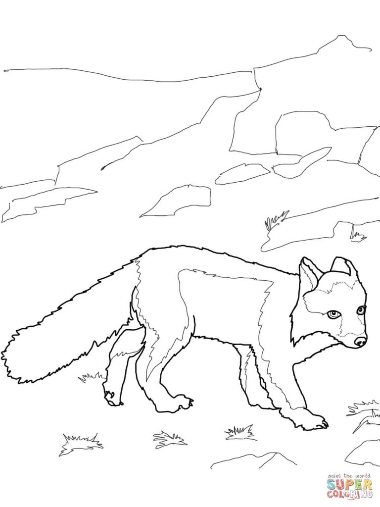 768x1024 Polar Fox For Coloring Page
