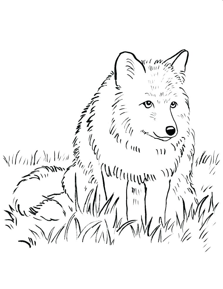 760x985 Snowmobile Coloring Pages Arctic Coloring Pages Fox Coloring Pages