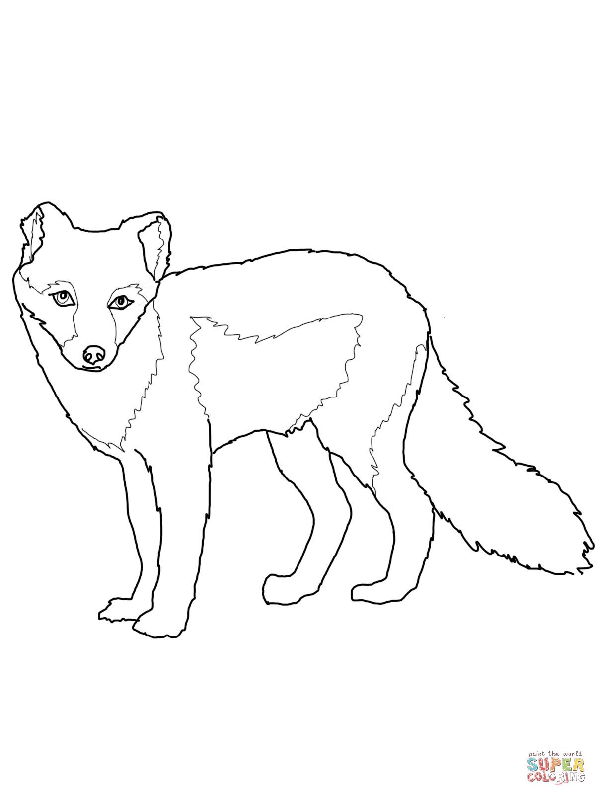 1200x1600 Arctic Fox Summer Coat Coloring Page Stiches