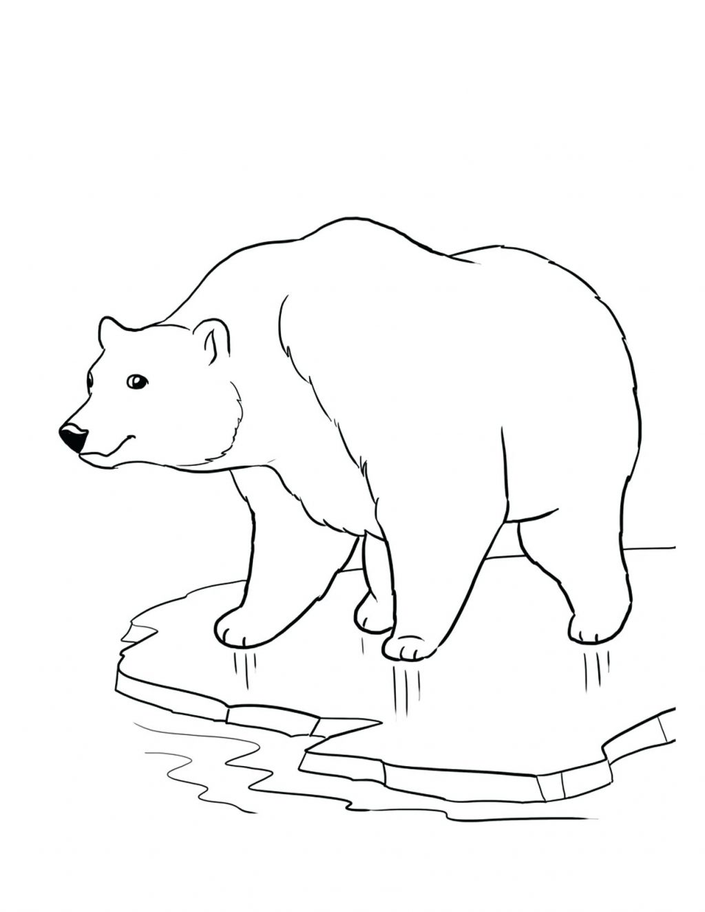 1024x1325 Coloring Page Arctic Fox Coloring Page Good Polar Bear For Print