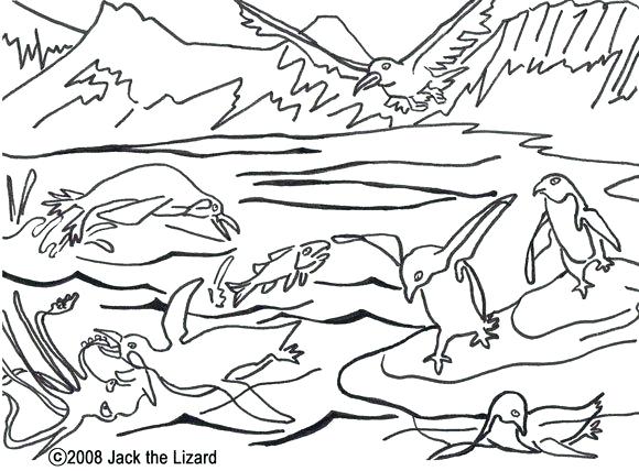 580x428 Arctic Coloring Pages Coloring Pages Of A Wolf Realistic Coloring
