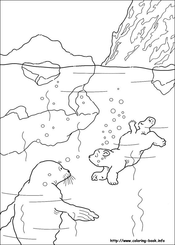 567x794 Polar Coloring Pages