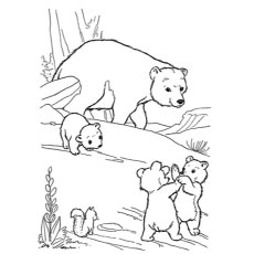 230x230 Top Free Printable Polar Bear Coloring Pages Online