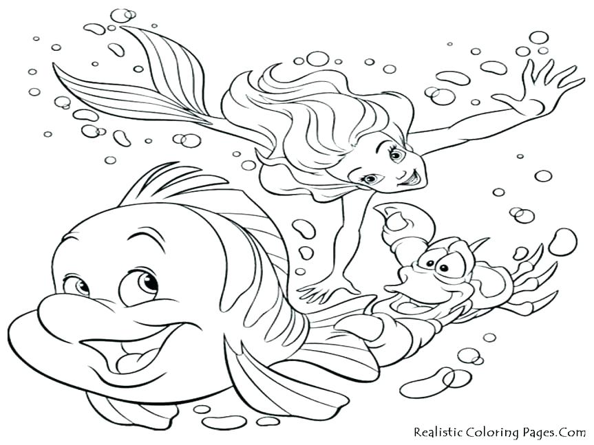 863x647 Animal Habitat Coloring Pages Arctic Animal Coloring Pages Free
