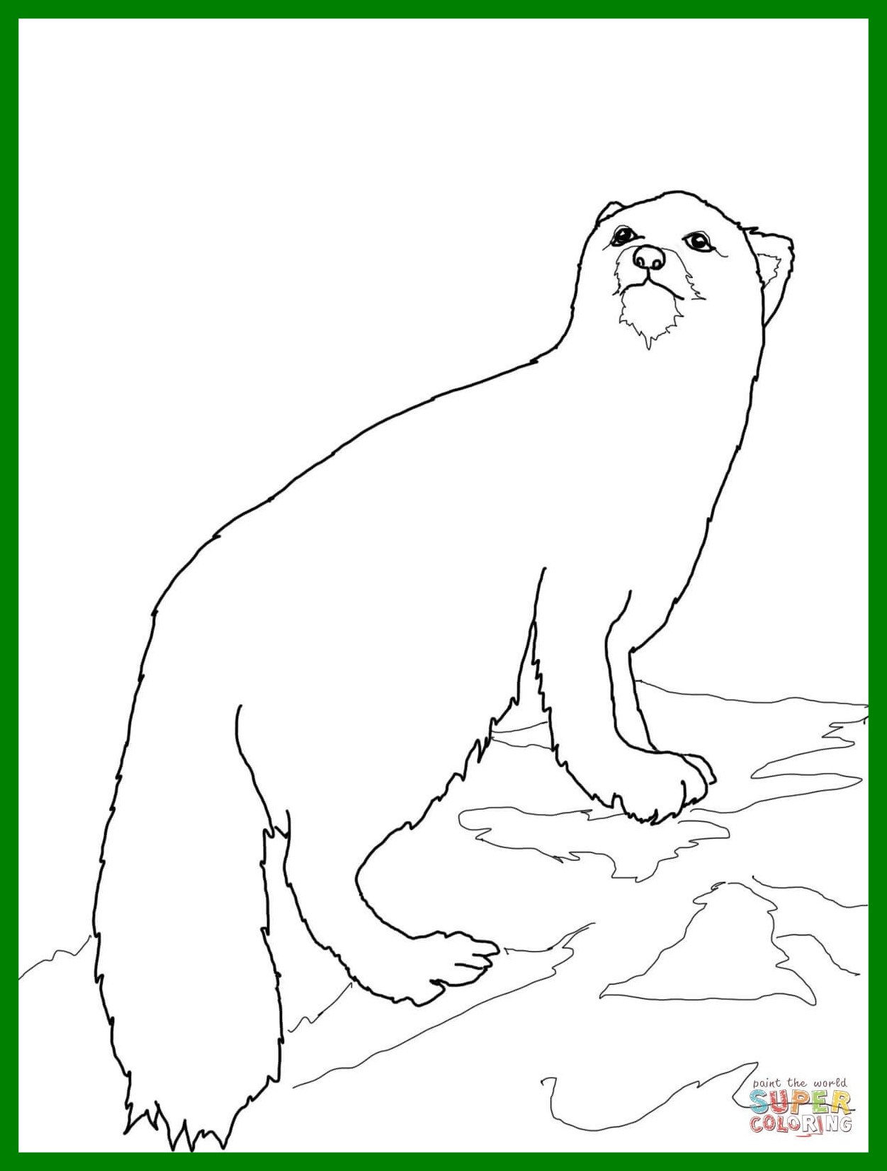 1252x1652 Marvelous Arctic Coloring Sheets To Print Books Pict For Animal