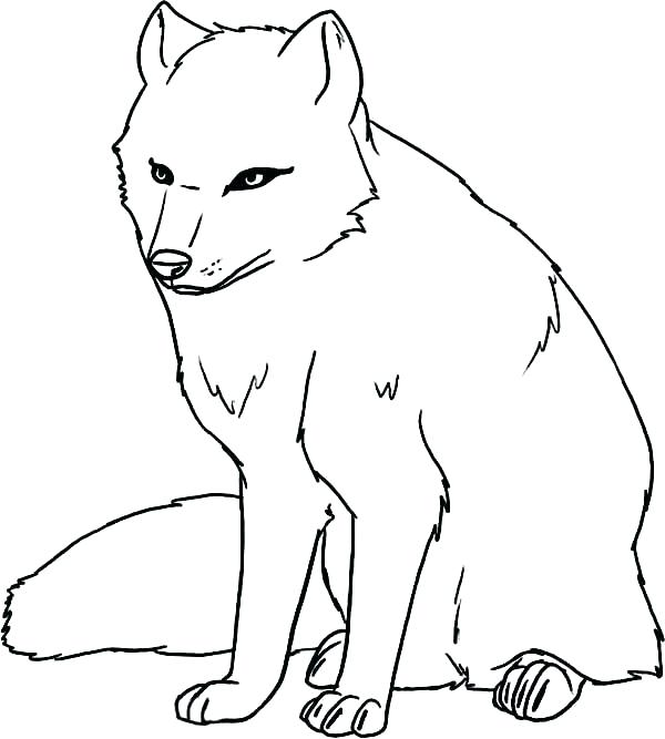 600x667 Arctic Animal Coloring Pages Arctic Animals Coloring Pages Arctic