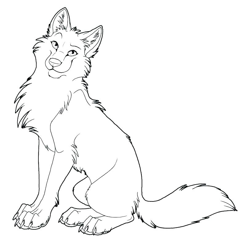 800x799 Wolf Coloring Pages Wolf Coloring Page Realistic Pages To Print