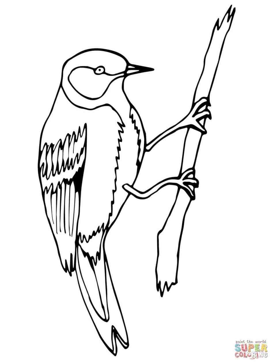 948x1264 Arizona State Flower And Bird Coloring Pages Arizona